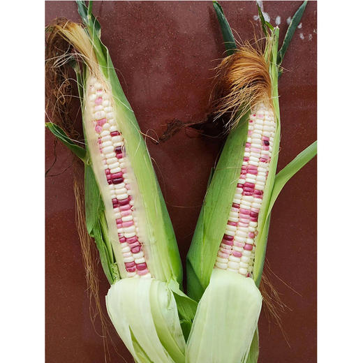农场自产有机玉米（商）400G 商品图0