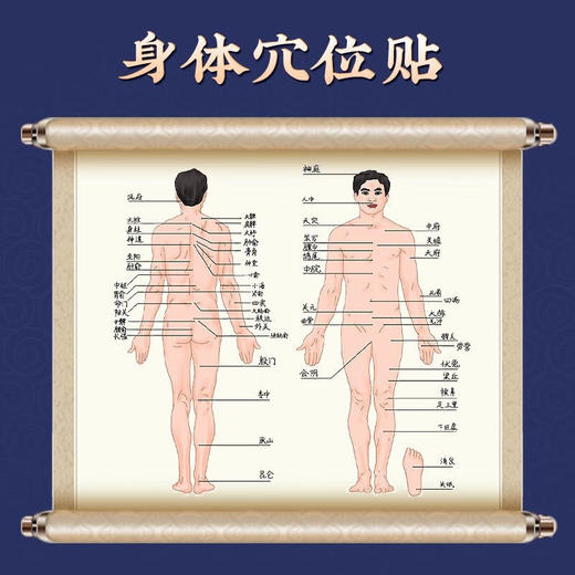 【北京同仁堂】内廷上用三伏贴入伏必贴穴位压力刺激贴 30贴/盒 商品图4