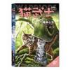 猫武士七部曲（4-6） 亚马逊网站五星级畅销书 欧美销售突破1000万套 曾长期占据台湾及东亚其他地区童书畅销榜榜首 阿里影业已花重金购买其电影改编权 商品缩略图1