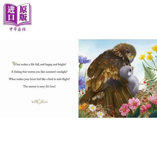 【中商原版】动物真言集 为什么世界需要爱 Why the World Needs Love 英文原版 儿童动物绘本 早教认知图画书 精装精品绘本 商品图3