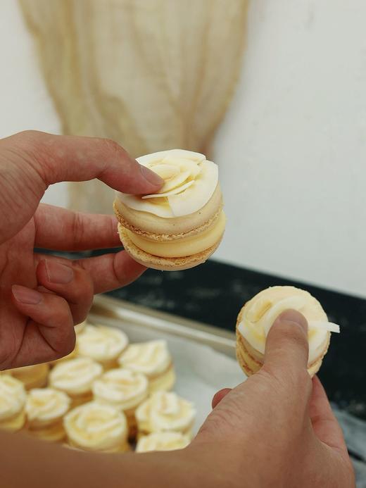 韩式胖马卡龙（椰子凤梨口味） 商品图1