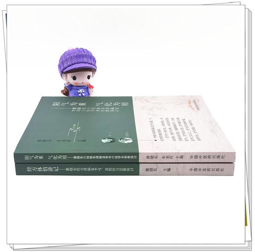 套装2本 经方体悟讲记+阳气为重 气化为用 雒晓东经方讲稿及李可 黄煌经方思维探讨 雒晓东 著 中国中医药出版社 中医临床书籍 商品图1