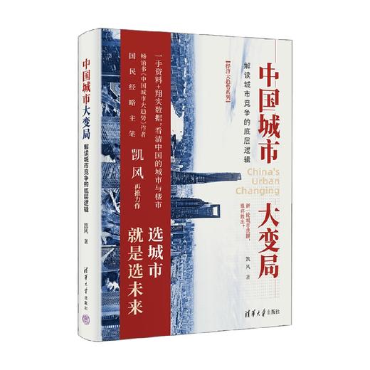 中国城市大变局 解读城市竞争的底层逻辑 经济大趋势系列 凯风 著 经济 商品图4