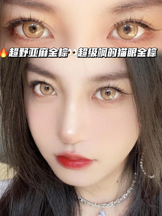 sugar Citrus橘子猫棕 「含硅水凝胶」年拋型 商品图0