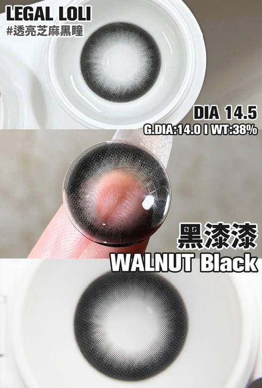 【暂停发货】缺货非常多【半年抛】 LEGAL LOLI 黑漆漆 14.5 着色14.0 自然黑 大黑 黑琥珀【0 125 150 175 400 525 550 575 600-1000度缺】 商品图4