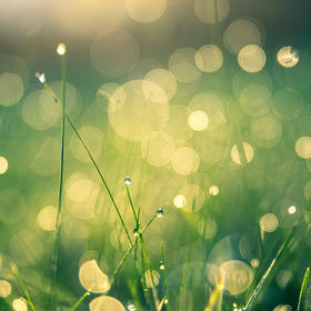 可持续生活沙龙——分享食物旅行爱植愈力