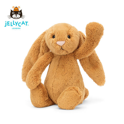 Jellycat 害羞系列 邦尼兔 金色 商品图2