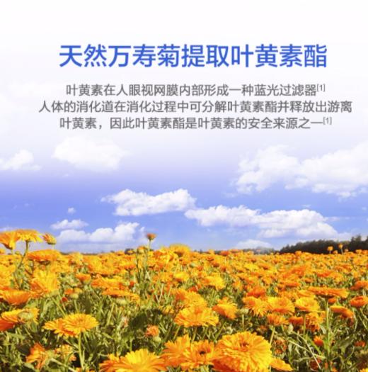 【618会员提前购】汤臣倍健 蓝莓叶黄素酯咀嚼片 护眼（儿童中老年均可） 商品图2