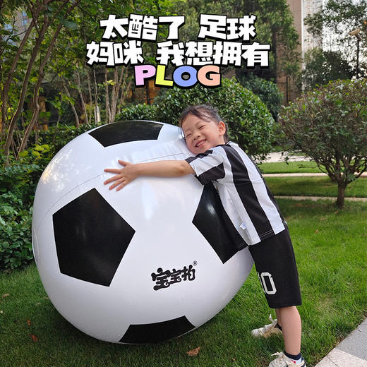 宝宝拍充气足球沙滩球/户外交友神器 商品图2