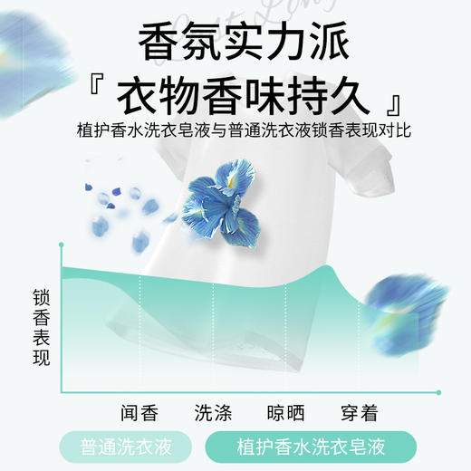 【清野苍兰】植护香水洗衣液香味持久留香氛低泡整箱批家用实惠装 2kg*1瓶+500g*1袋 商品图2