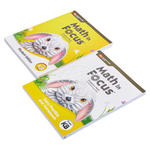 【中商原版】Math in Focus Grade K 焦点数学 预备级K 下册套装 学生书+课外练习作业本 英文原版 美国HMH教材小学新加坡数学 商品图2
