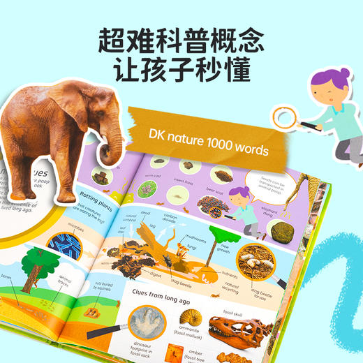 #小彼恩童书 DK nature 1000 words 自然1000词 英文原版 点读版 商品图1