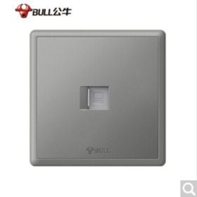 公牛 面板开关 G35 灰  电脑