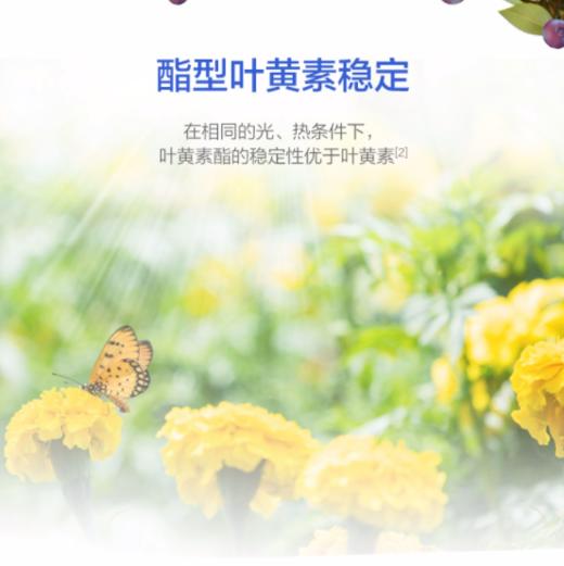 【618会员提前购】汤臣倍健 蓝莓叶黄素酯咀嚼片 护眼（儿童中老年均可） 商品图3