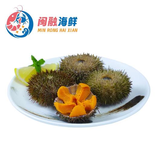 海胆/只 商品图1