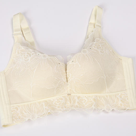 都市丽人舒软挺塑AB杯适穿蕾丝调整型文胸中厚款3/4杯塑身文胸无钢圈内衣四排扣LJ3AA3 商品图3