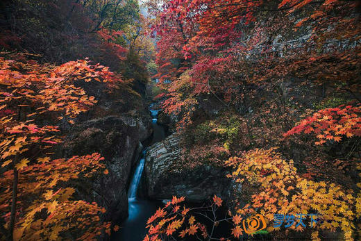 10月6日 辽宁·本溪红叶、大石湖、关门山、老边沟、盘锦红海滩6天摄影 商品图1