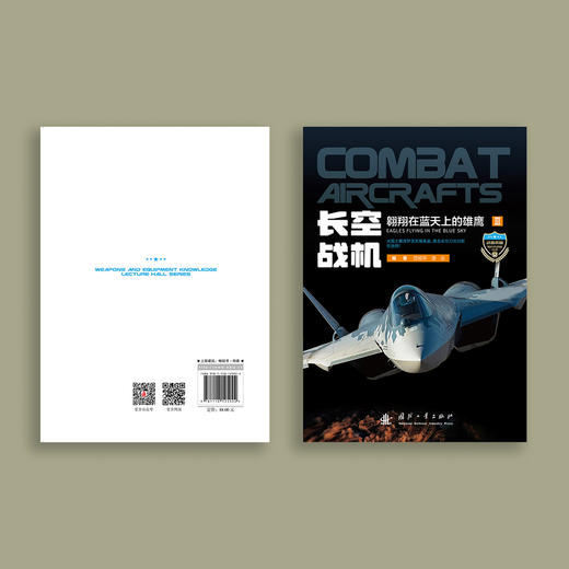 《长空战机：翱翔在蓝天上的雄鹰》 商品图6