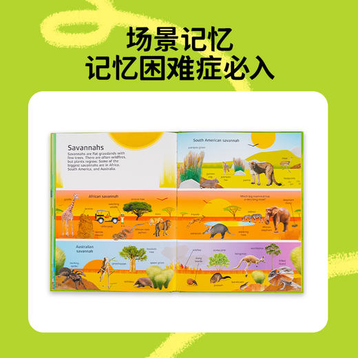 #小彼恩童书 DK nature 1000 words 自然1000词 英文原版 点读版 商品图3