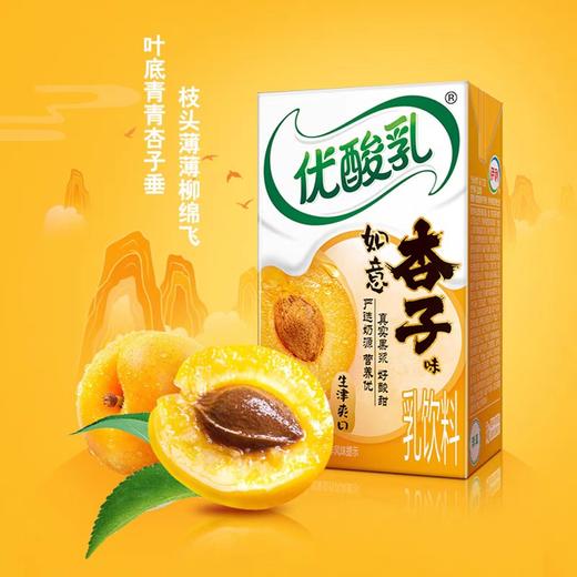 伊利优酸乳杏子味 250ml*24盒/箱 商品图1