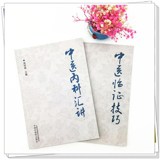 套装2本 中医内科汇讲+中医临证技巧 周仲瑛 主编 中国中医药出版社 中医临床 内科 书籍 商品图2