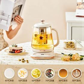 摩动 MODONG 多功能养生壶1.6L  MD-YSHA1