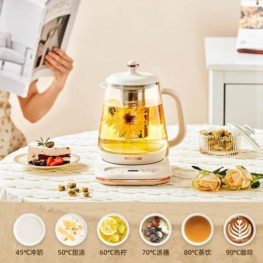 摩动 MODONG 多功能养生壶1.6L  MD-YSHA1 商品图0