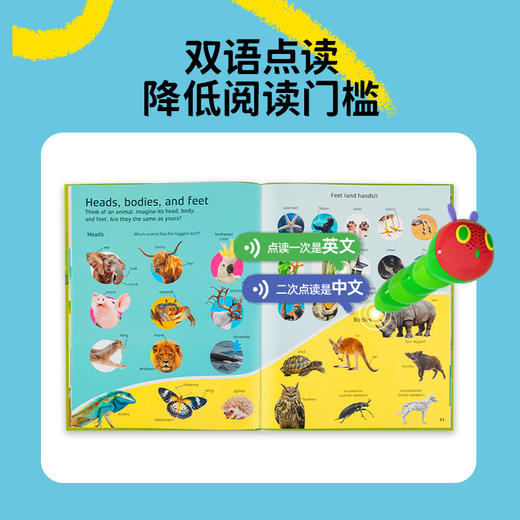 #小彼恩童书 DK nature 1000 words 自然1000词 英文原版 点读版 商品图4