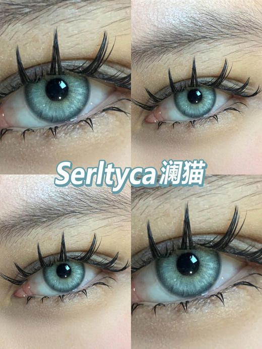 Serltyca 日抛 澜猫 直径14.2mm着色13.6mm  售完不补 商品图8