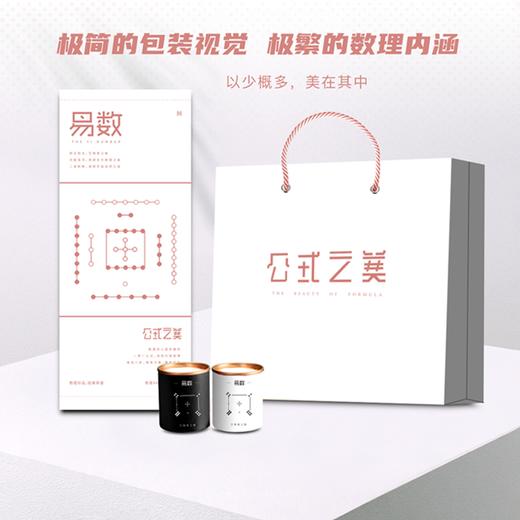 【公式之美】易数茶 公式之美周边定制  品普洱茶之两韵 以易理敬数学 商品图3