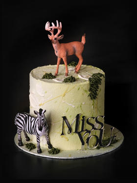 (南宁店)神秘丛林