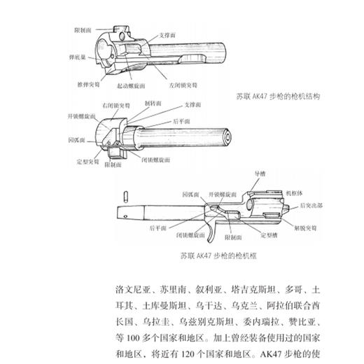 《中国步枪：从仿制到自行研制》 商品图4