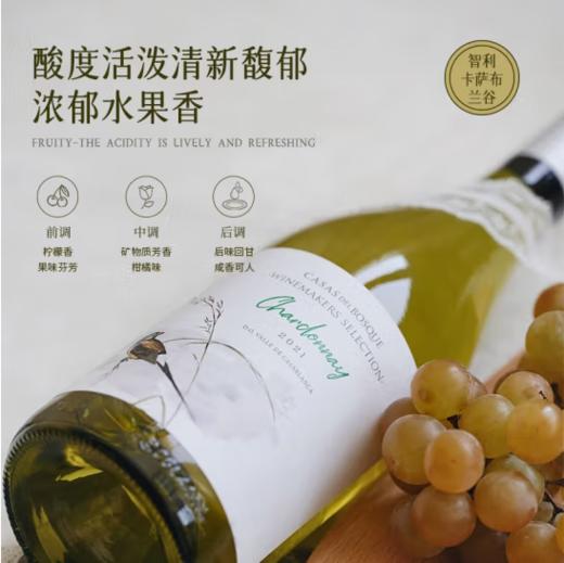 【连续4年全球TOP50葡萄园】卡萨博斯克精选霞多丽干白葡萄酒 智利原瓶进口 13%vol 商品图1