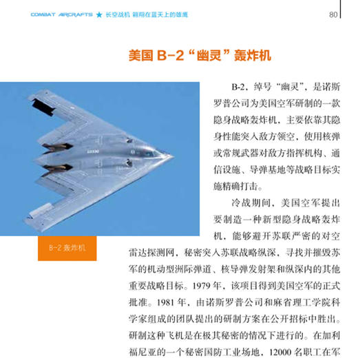 《武器装备知识大讲堂丛书》（共6册） 商品图12