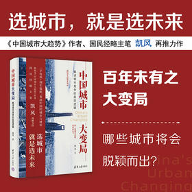 中国城市大变局 解读城市竞争的底层逻辑 经济大趋势系列 凯风 著 经济