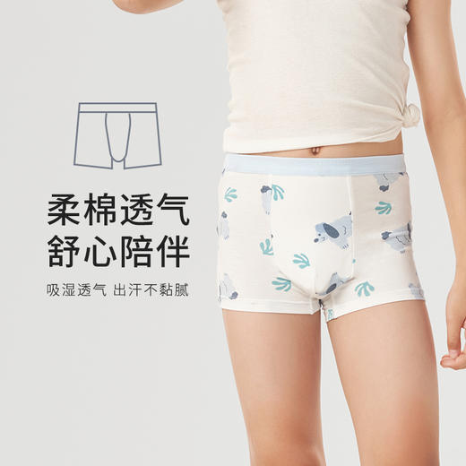 都市丽人眯雅佳人棉提花男童平角内裤儿童内裤JK3B04 商品图0