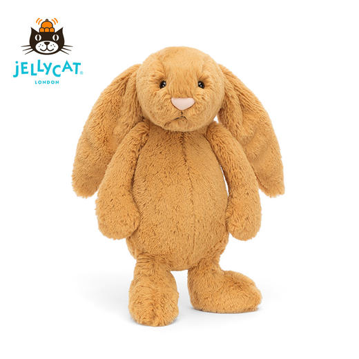 Jellycat 害羞系列 邦尼兔 金色 商品图3