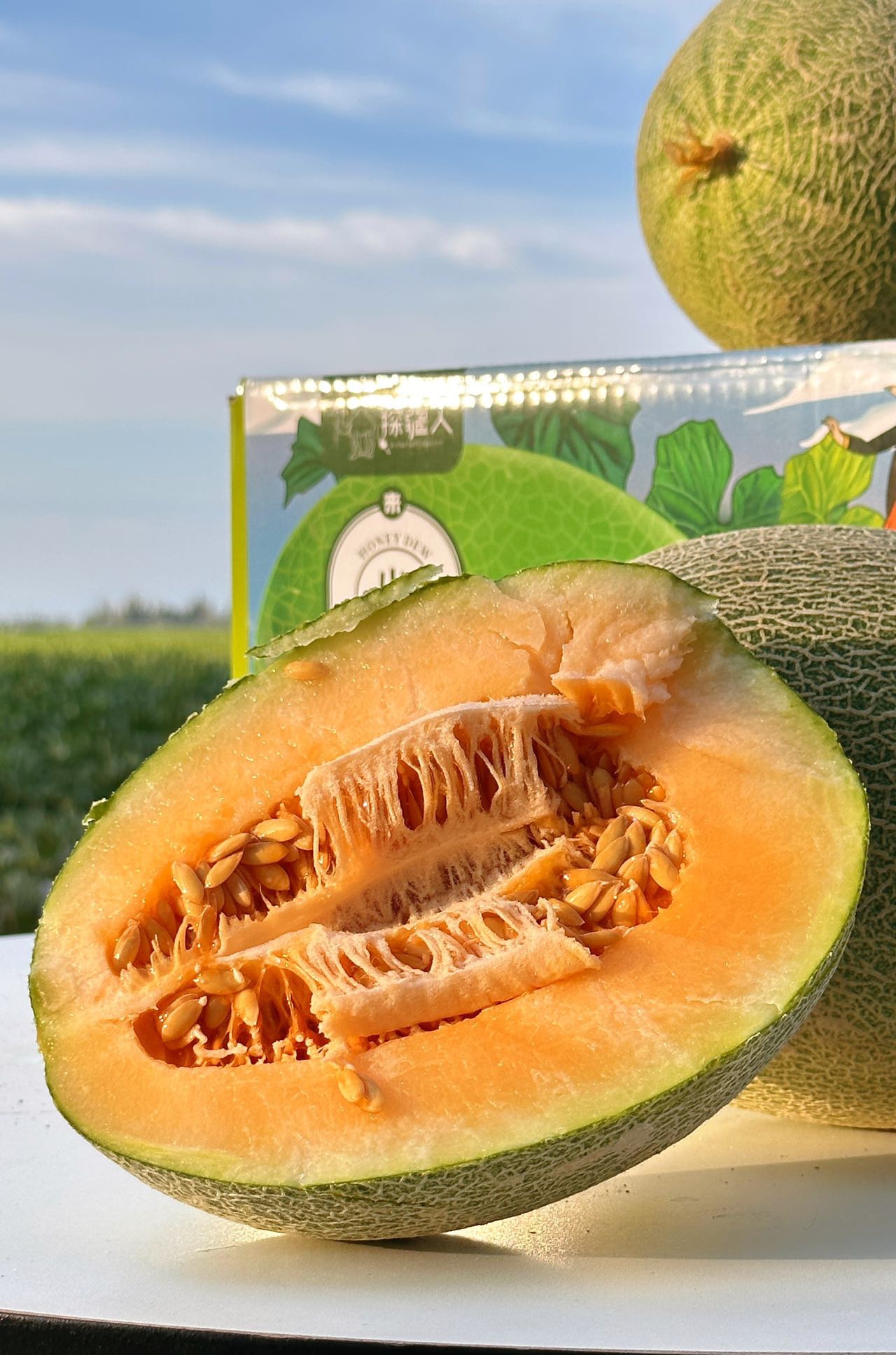 新疆 出口小糖炮/哈蜜瓜  又脆又甜 皮超薄！！甜到皮都不剩！！