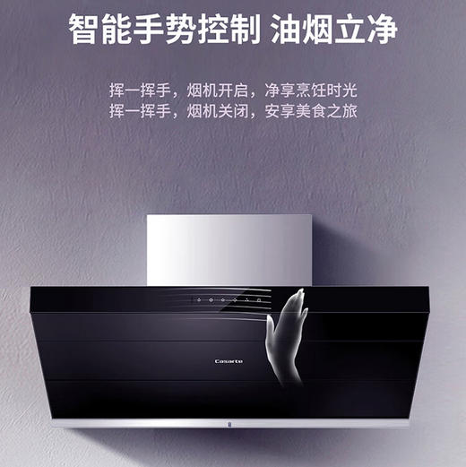 卡萨帝（Casarte）烟机 CXW-219-CK16CG 商品图2