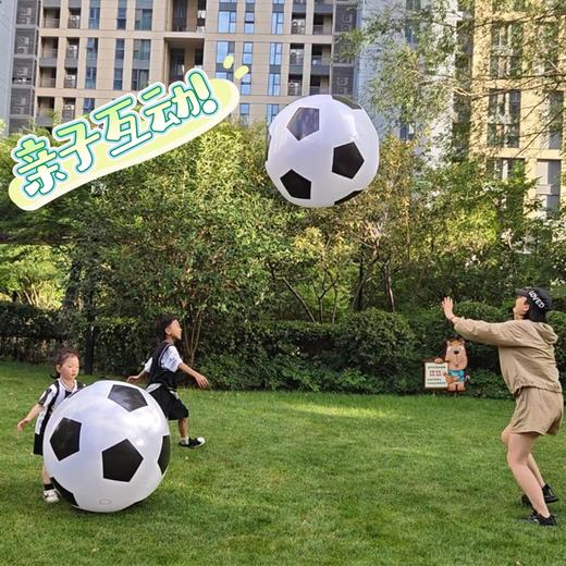 宝宝拍充气足球沙滩球/户外交友神器 商品图5