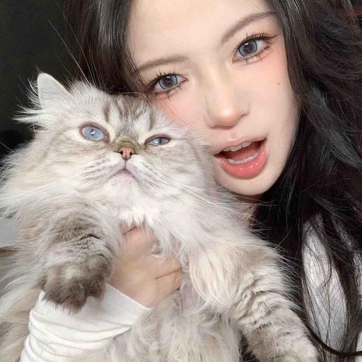 【年抛/日抛双版本 】冰点海盐 4youthcon 大直径14.5 着色13.9 (完整的选款色板在详情页内 同品牌多副更划算) 日抛是O-19品牌是oceangirl 商品图3