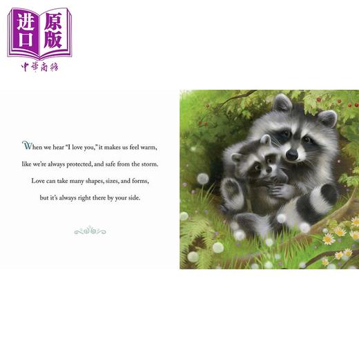 【中商原版】动物真言集 为什么世界需要爱 Why the World Needs Love 英文原版 儿童动物绘本 早教认知图画书 精装精品绘本 商品图2