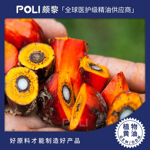 巴西进口棕榈脂植物油颇黎进口棕榈脂精油 批发基础油护肤原料 商品图0