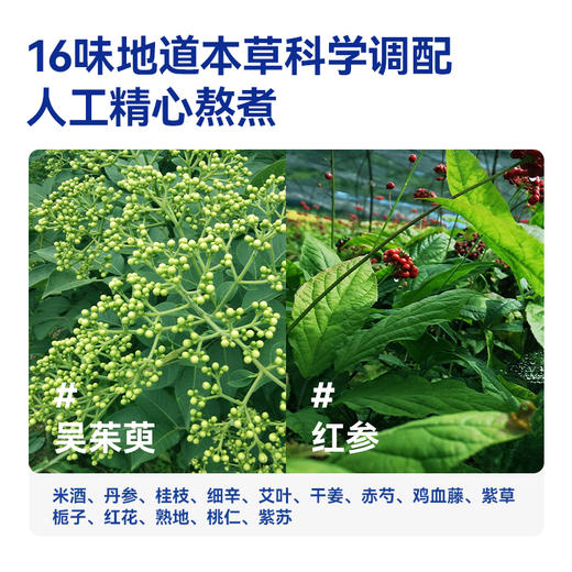 【真不二】吴茱萸米酒足浴液艾叶草本发汗上热下寒男女士用足浴包 商品图2