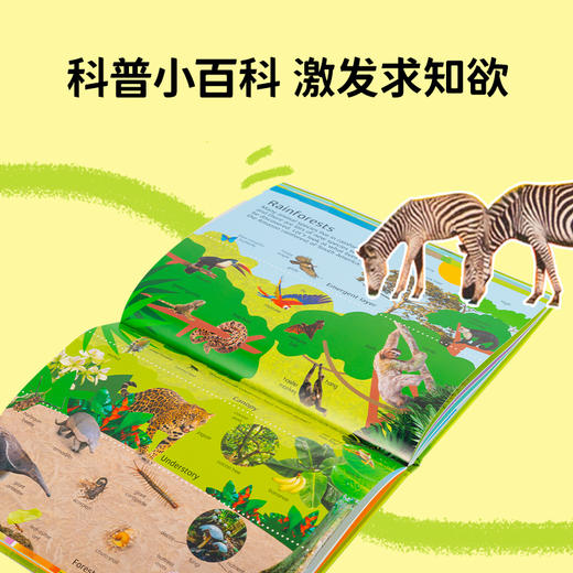 #小彼恩童书 DK nature 1000 words 自然1000词 英文原版 点读版 商品图2