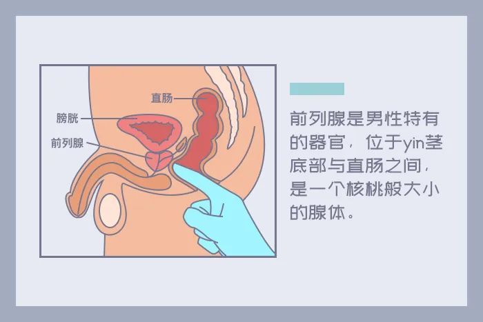 耐美尔商城旗舰店