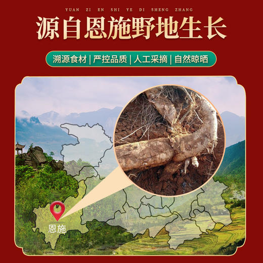 施言稀葛根粉400克 商品图3