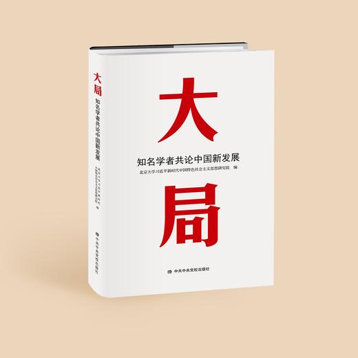 《大局：知名学者共论中国新发展》 商品图1
