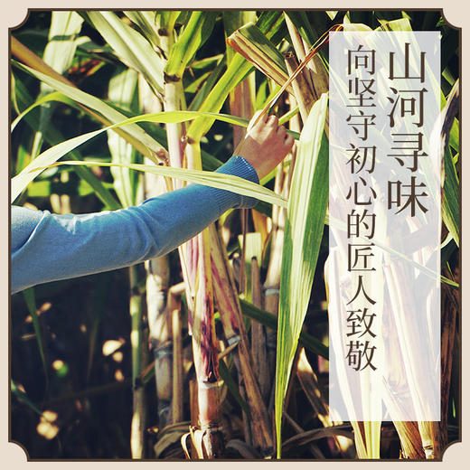 【临期】【经期伴侣】高原甘蔗红糖 古法熬制  罐装便携装（2026年2月到期） 商品图1