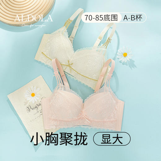 雅黛俪内衣女小胸聚拢莫代尔蕾丝文胸无钢圈2023新款美背胸罩 商品图0
